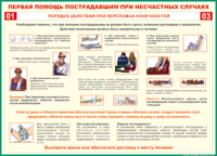 Таблица Порядок действий при переломах конечностей 1000*1400 винил - «globural.ru» - Миасс