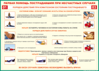 Таблица Порядок действий при коматозном состоянии пострадавшего 1000*1400 винил - «globural.ru» - Миасс