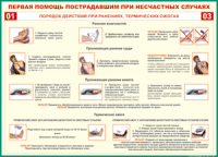 Таблица Порядок действий при ранениях и термических ожогах	 1000*1400 винил - «globural.ru» - Миасс