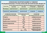 Химия. Сравнение понятий изомер и гомолог. Функциональные группы классов органических веществ (винил) - «globural.ru» - Миасс