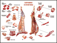 Правила разделки мясных туш "Баранина и ягнятина" 1000*1400 винил - «globural.ru» - Миасс