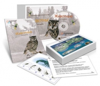 Комбинированное наглядное пособие «Животные» - «globural.ru» - Миасс