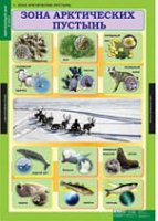 Окружающий мир 4 класс (комплект таблиц) - «globural.ru» - Миасс