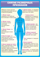 Стенд "Снятие мерок" (вариант 2) - «globural.ru» - Миасс