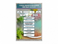 Стенд "Схема приготовления мясных котлет" - «globural.ru» - Миасс