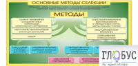 Стенд "Методы селекции и биотехнологии" - «globural.ru» - Миасс