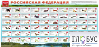 Стенд "Красная книга РФ" - «globural.ru» - Миасс