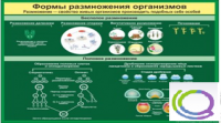Стенд "Формы размножения организмов" - «globural.ru» - Миасс