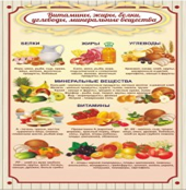 Стенд "Витамины, жиры, белки" - «globural.ru» - Миасс