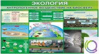 Стенд "Экология. Антропогенное воздействие на биосферу" - «globural.ru» - Миасс