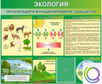Стенд "Экология. Организация и функционирование сообществ" - «globural.ru» - Миасс