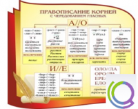 Стенд "Правописание корней с чередованием гласных" - «globural.ru» - Миасс