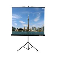 Проекционный экран на штативе Lumien Eco View (LEV-100105) 160x160 см - «globural.ru» - Миасс