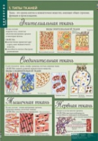 Биология 8-9 класс. Человек. (комплект таблиц) - «globural.ru» - Миасс