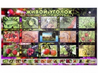 Комплект оборудования "Живой уголок" (растения) с тифлопереводом и сурдокомментариями - «globural.ru» - Миасс