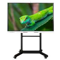 Интерактивный комплекс Geckotouch ​​​​​​​65RK - «globural.ru» - Миасс