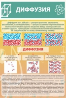 Стенд "Диффузия" - «globural.ru» - Миасс