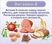Стенд "Витамин В" - «globural.ru» - Миасс