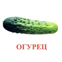 Карточки Домана "Овощи-Зелень-1" - «globural.ru» - Миасс