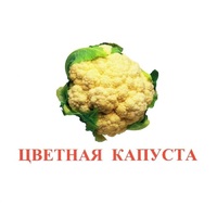 Карточки Домана "Овощи-Зелень-2" - «globural.ru» - Миасс