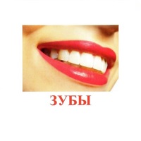 Карточки Домана "Части тела" - «globural.ru» - Миасс