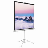 Экран на штативе DSKD-1103 - «globural.ru» - Миасс