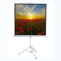 Экран на штативе DSKD-1105  - «globural.ru» - Миасс