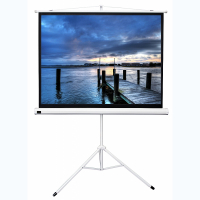 Экран на штативе DSKD-4302 - «globural.ru» - Миасс