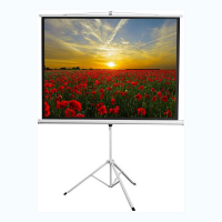 Экран на штативе DSKD-4303 - «globural.ru» - Миасс
