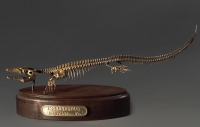 Модель скелета мозазавра Mosasaurus - «globural.ru» - Миасс