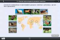 Интерактивные курсы. Биология 7 класс. Расширенный - «globural.ru» - Миасс