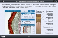 Интерактивные курсы. Биология 5 класс. Расширенный - «globural.ru» - Миасс