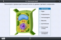 Интерактивные курсы. Биология 9 класс. Расширенный - «globural.ru» - Миасс