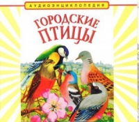 CD "Аудиоэнциклопедия. Городские птицы" - «globural.ru» - Миасс