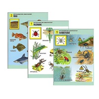 Комплект таблиц для начальной школы "Окружающий мир. Животный мир" - «globural.ru» - Миасс