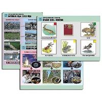 Комплект таблиц для  начальной школы "Окружающий мир. Экология" - «globural.ru» - Миасс