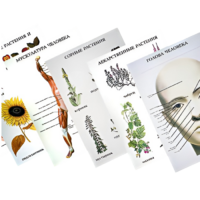 Таблицы по природоведению 1-3 класс - «globural.ru» - Миасс