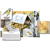 Магнитный плакат-аппликация "Биоразнообразие и экологические группы. Птицы зимой" - «globural.ru» - Миасс