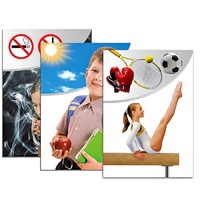 Модель-аппликация "Здоровье человека" - «globural.ru» - Миасс