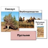 Модель-аппликация "Природные зоны России" - «globural.ru» - Миасс