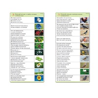 Комплект карточек (10) "Обучающий калейдоскоп. Природа" - «globural.ru» - Миасс