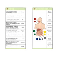 Комплект карточек (10) "Обучающий калейдоскоп. Человек" - «globural.ru» - Миасс