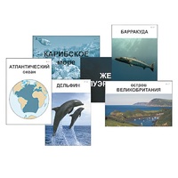 Модель-аппликация "Океаны. Знакомство" (ламинированная) - «globural.ru» - Миасс