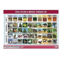 Таблица демонстрационная "Почвы, растения и животные природных зон" (винил 100x140) - «globural.ru» - Миасс