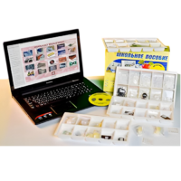 Коллекция натурально-интерактивная "Пластмассы" - «globural.ru» - Миасс