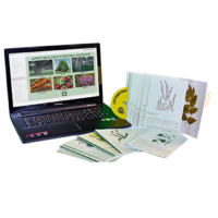 Гербарий натурально-интерактивный "Лекарственные растения" - «globural.ru» - Миасс