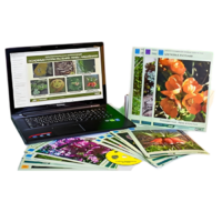 Гербарий натурально-интерактивный "Основные группы растений. Грибы. Лишайники" - «globural.ru» - Миасс