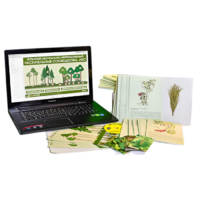 Гербарий натурально-интерактивный "Растительные сообщества. Лес" - «globural.ru» - Миасс