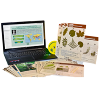 Гербарий натурально-интерактивный к курсу основ общей биологии - «globural.ru» - Миасс