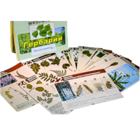 Гербарий к курсу основ общей биологии - «globural.ru» - Миасс